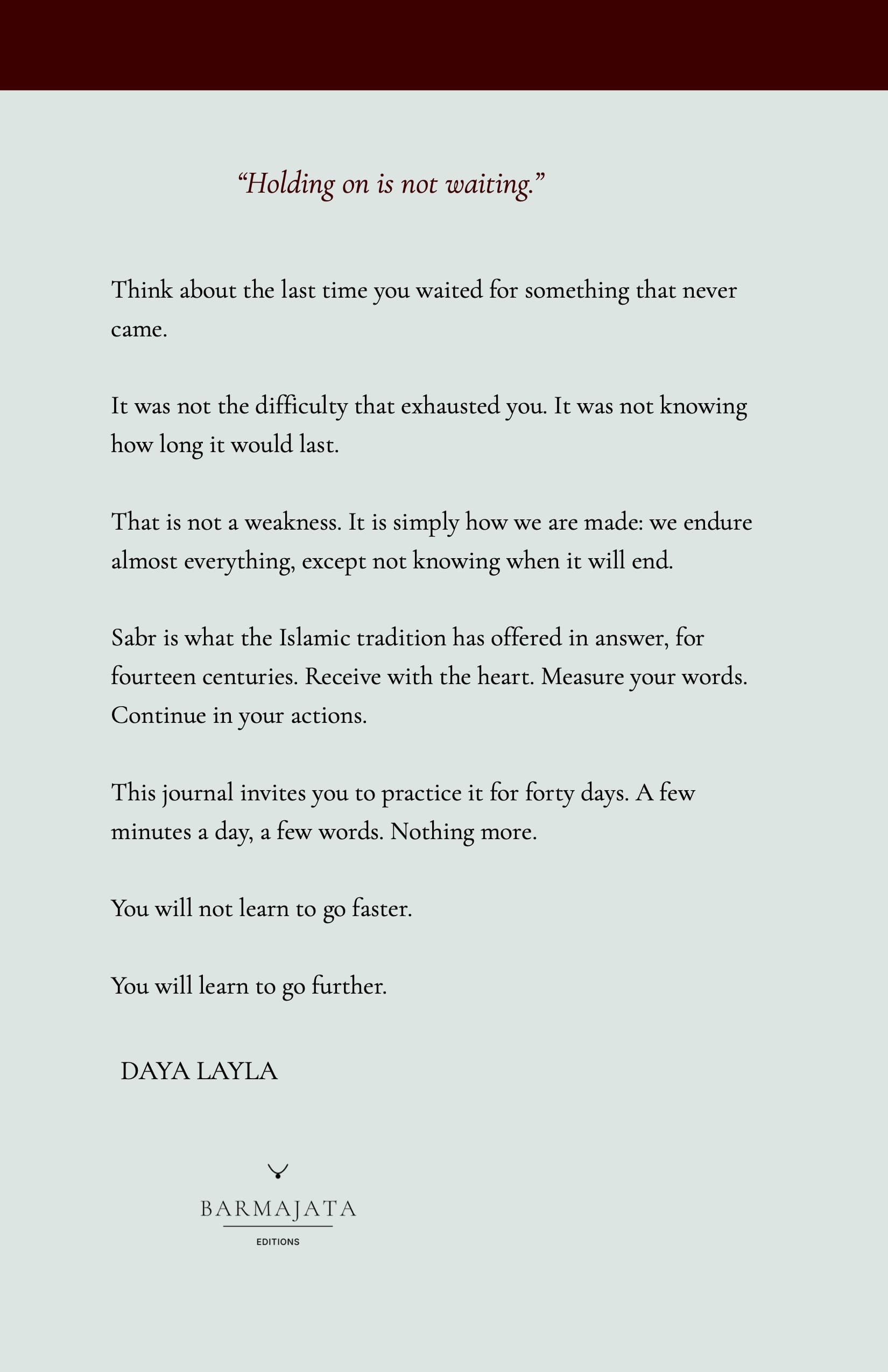 Back cover of SABR